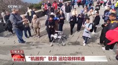 机械人“赛道” 新年加快“跑” 我国智能机械人