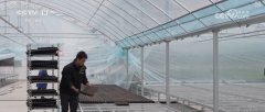 “定制+立异”双轮驱动 “小农机”圈粉海外闯出
